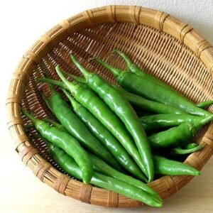 Fresh green chillies for culinary and export supply
