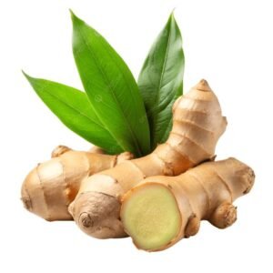 Fresh ginger root for culinary and export supply